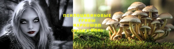 MESCALINE Баксан